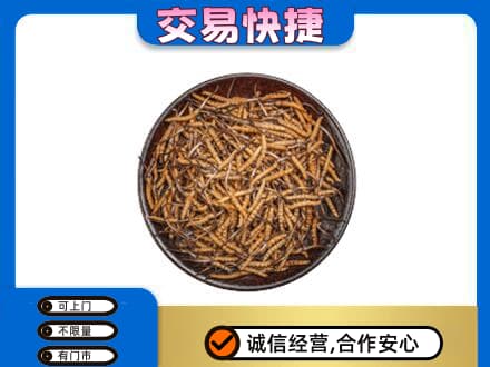 潮州市湘桥高价回收散虫草